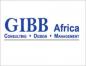Gibb Africa Limited logo